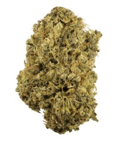 Buy Durban Poison Strain Online US