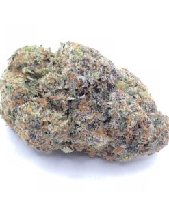 Buy Guava Strain Online US