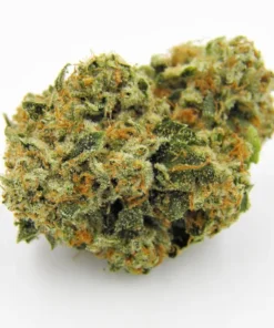 Buy Kosher Kush Strain Online US