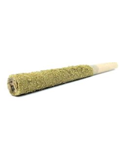 Buy Thunder Joint – Gassy Rockstar Online in the US